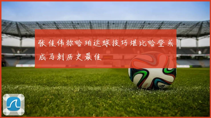 张佳伟称哈珀运球技巧堪比哈登或成马刺历史最佳