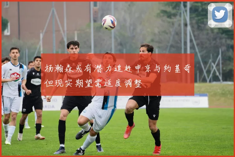 杨瀚森或有潜力追赶申京与约基奇但现实期望需适度调整