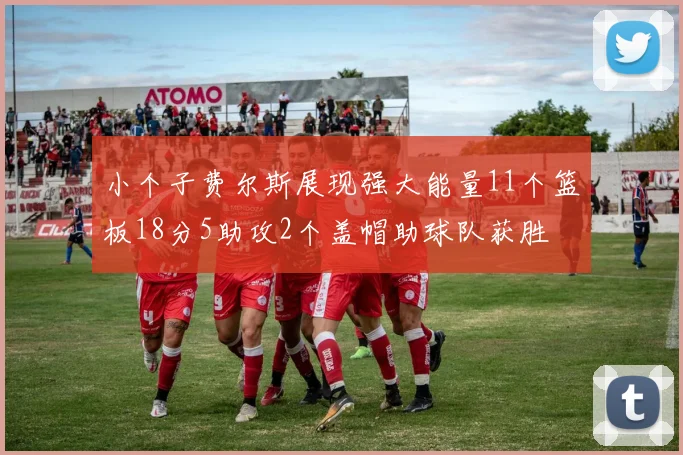 小个子费尔斯展现强大能量11个篮板18分5助攻2个盖帽助球队获胜