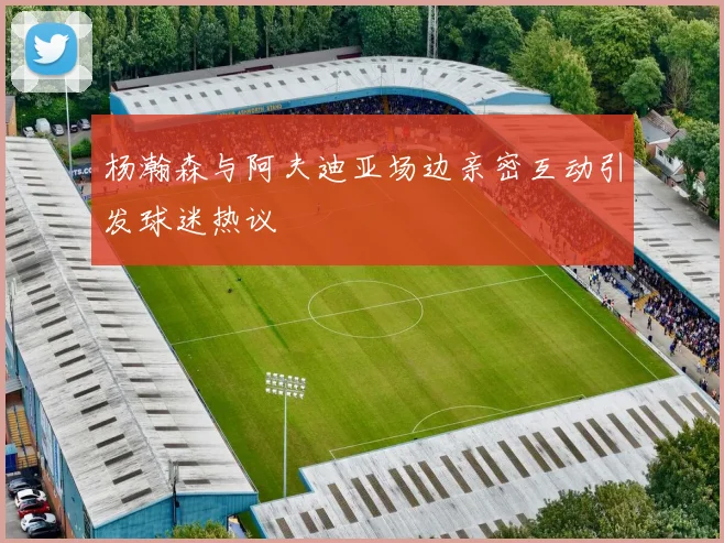 杨瀚森与阿夫迪亚场边亲密互动引发球迷热议
