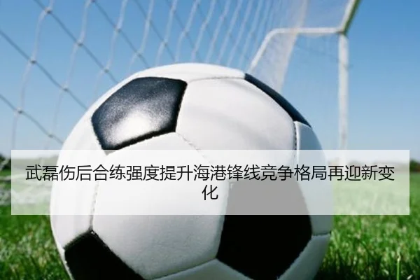 武磊伤后合练强度提升海港锋线竞争格局再迎新变化 - hth